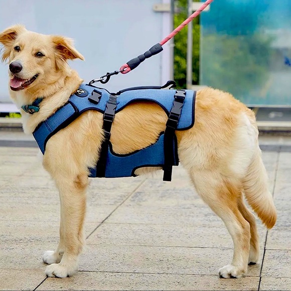 Coodeo Dog Coodeo Dog Lift Harness Support Recovery Sling Pet